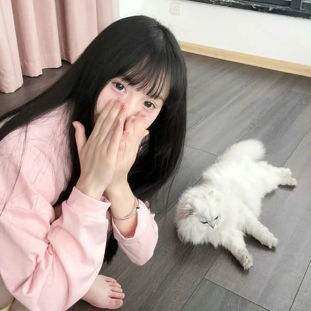 终有一天会成为最强的炼金术师？