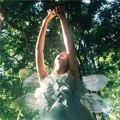 重生之胜者为王